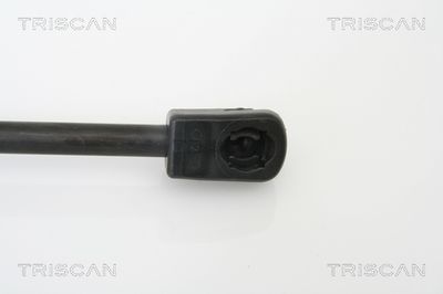 AMORTIZOR PORTBAGAJ TRISCAN 871015227 2