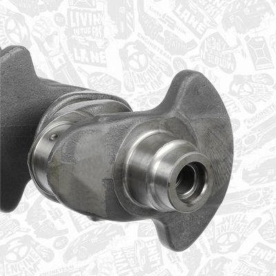 ARBORE COTIT ET ENGINETEAM HK0219 3