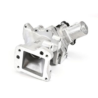 SUPAPA EGR DELPHI EG1043712B1 21