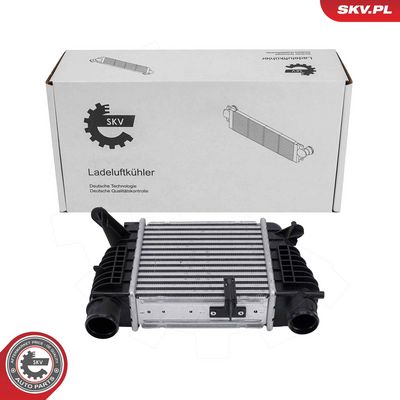INTERCOOLER COMPRESOR ESEN SKV 98SKV130 5