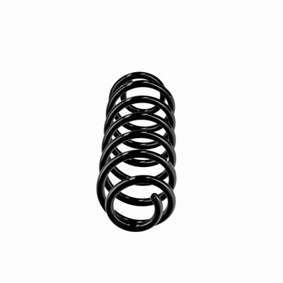 ARC SPIRAL EIBACH R10795 1