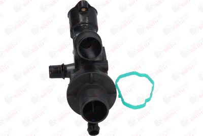 FLANSA LICHID RACIRE BIRTH 8889 4