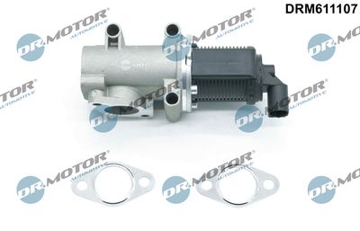 EGR Valve DRM611107