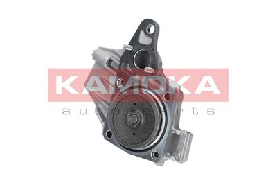 Water Pump, engine cooling T0238