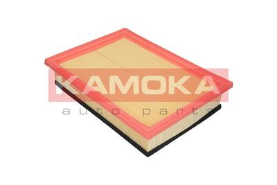 Air Filter F205501