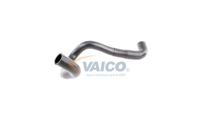 KüHLERSCHLAUCH VAICO V251790 55