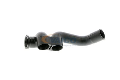 FURTUN ULEI VAICO V102771 34