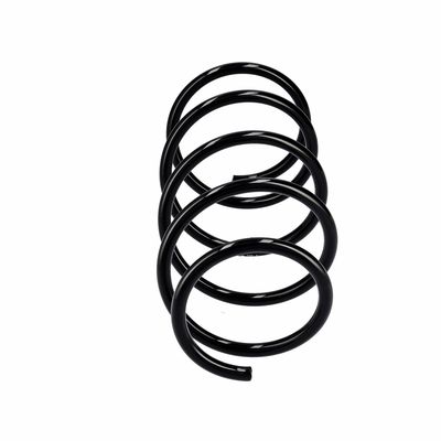 ARC SPIRAL EIBACH R10991 13