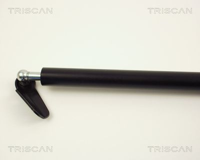 AMORTIZOR PORTBAGAJ TRISCAN 871013235 1