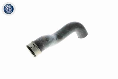 KüHLERSCHLAUCH VAICO V301656 8