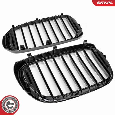 GRILA RADIATOR ESEN SKV 66SKV222 4