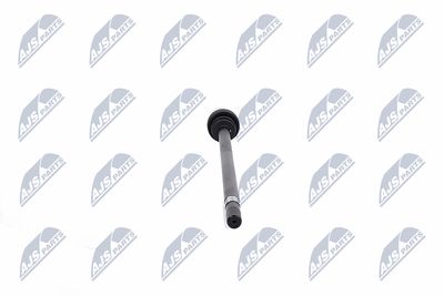 PLANETARA NTY NPWCH021 34