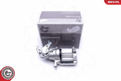 Brake Caliper 50SKV223