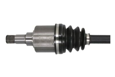 Drivaksel PASCAL G2G036PC