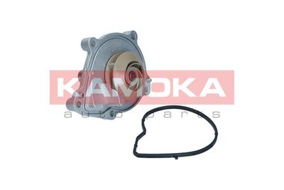 Water Pump, engine cooling T0050