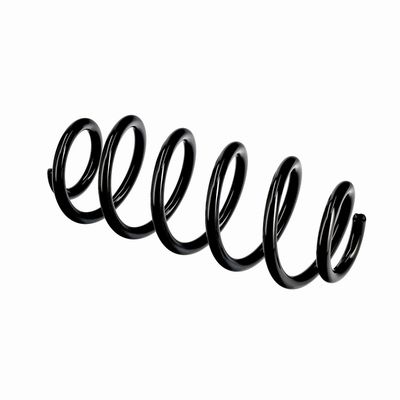 ARC SPIRAL EIBACH R10811 21