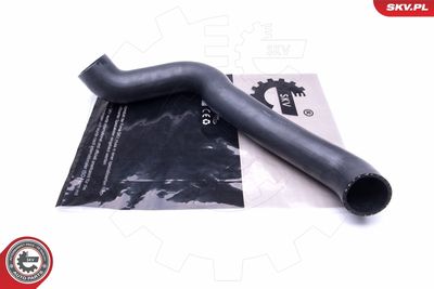 FURTUN EAR SUPRAALIMENTARE