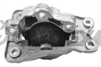 CAUTEX 760649 Подушка двигателя для VOLVO XC90 II (256) 2.0 T5 AWD CAUTEX 760649 Подушка двигателя для VOLVO XC90 II (256) 2.0 T5 AWD