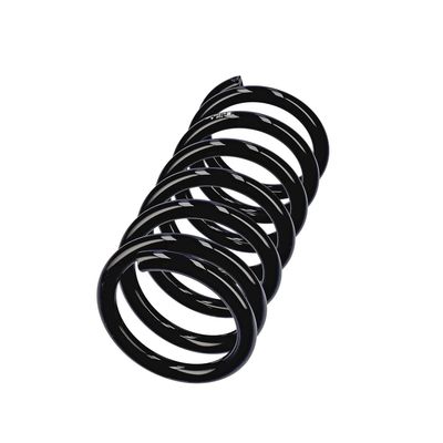 ARC SPIRAL EIBACH R13306 14