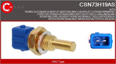 SENZOR TEMPERATURA LICHID DE RACIRE