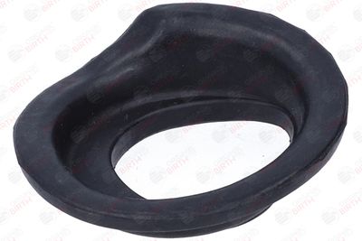 SAIBA ARC BIRTH 56745 4