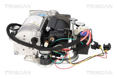 COMPRESOR INSTALATIE AER COMPRIMAT TRISCAN 872511106 1