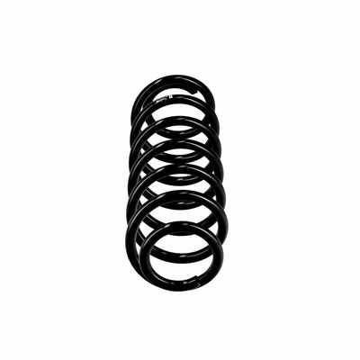 ARC SPIRAL EIBACH R10403 13