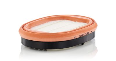 Antrinis oro filtras