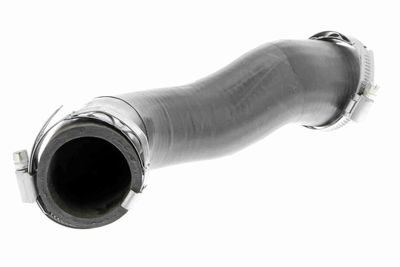 FURTUN EAR SUPRAALIMENTARE