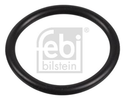 DICHTRING STEUERKETTENSPANNER