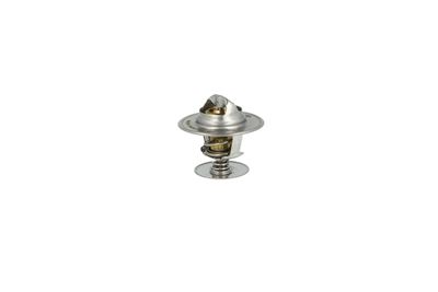 TERMOSTAT LICHID RACIRE NRF 725253 31