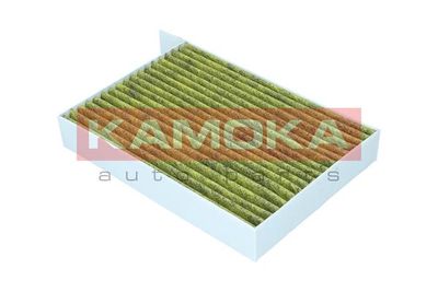 Filter, cabin air 6080161