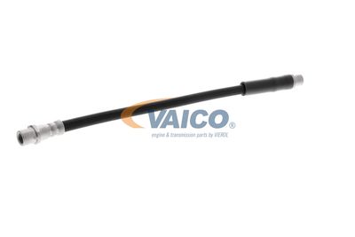 FURTUN FRANA VAICO V250900 55