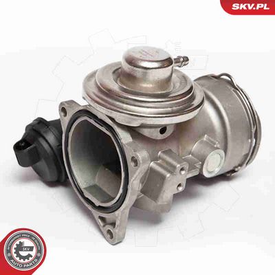 SUPAPA EGR ESEN SKV 14SKV025
