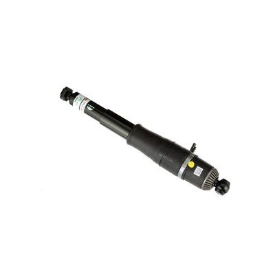 LUFTFEDERBEIN Arnott AS3066 54