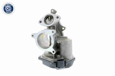 AGR-VENTIL VEMO V10630009 5