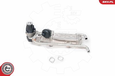 EGR Valve 14SKV095