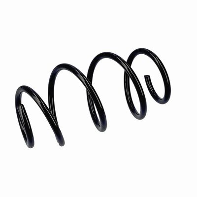 ARC SPIRAL EIBACH R20796 17