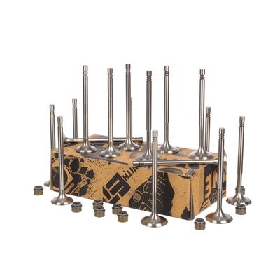 SET SUPAPE SUPAPă ADMISIE/EVACUARE ET ENGINETEAM VS0020VR2 8