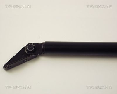 AMORTIZOR PORTBAGAJ KAWE 871013243 1