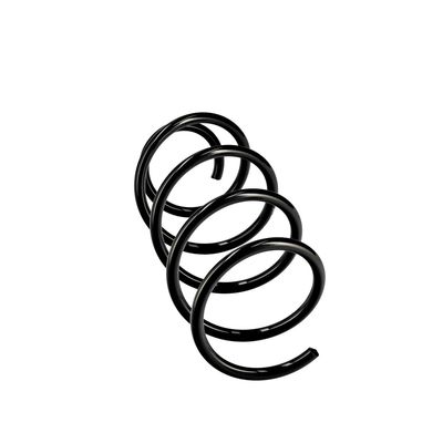 ARC SPIRAL EIBACH R10246 12