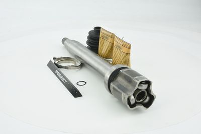 SET ARTICULATIE PLANETARA FEBEST 2111FUSMTRH 11