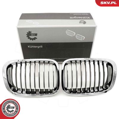 GRILA RADIATOR ESEN SKV 66SKV063 9