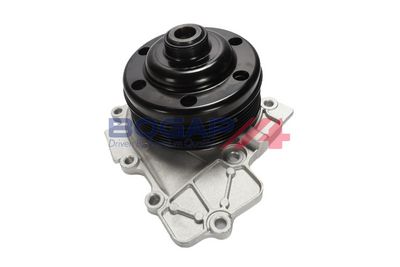 BOGAP Vandens siurblys, variklio aušinimas