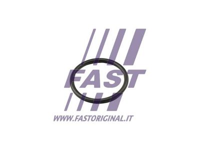 Uszczelka, termostat FAST FT49917