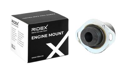 окачване, двигател RIDEX 247E0066