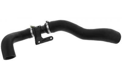 FURTUN EAR SUPRAALIMENTARE