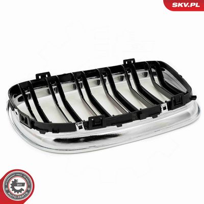 GRILA RADIATOR ESEN SKV 66SKV102 8