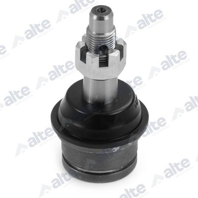 ARTICULATIE SARCINA/GHIDARE