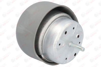 SUPORT MOTOR BIRTH 5915 6